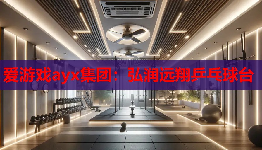 爱游戏ayx集团：弘润远翔乒乓球台