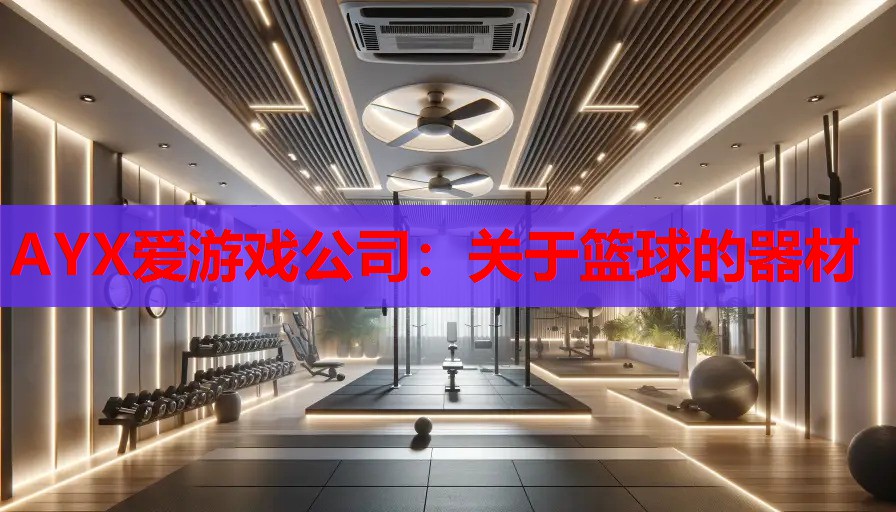 AYX爱游戏公司：关于篮球的器材