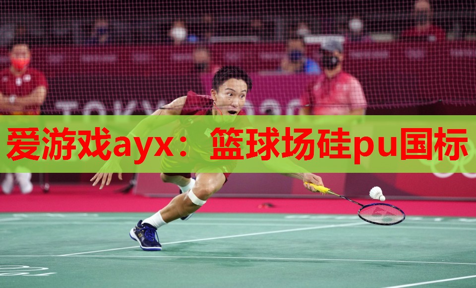 爱游戏ayx：篮球场硅pu国标