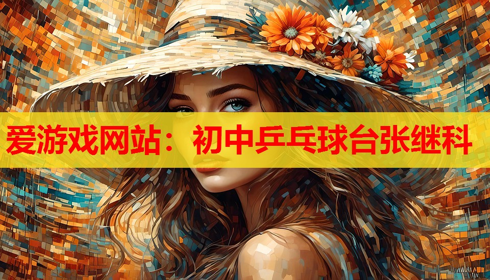 爱游戏网站：初中乒乓球台张继科