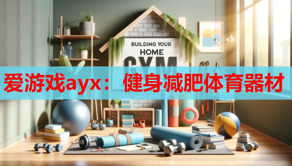 爱游戏ayx：健身减肥体育器材