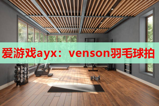 爱游戏ayx：venson羽毛球拍