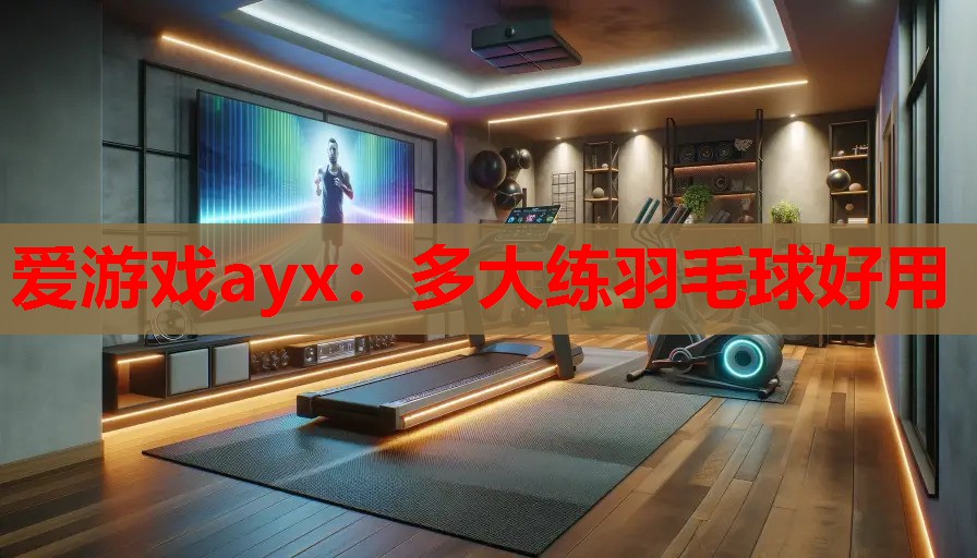 爱游戏ayx：多大练羽毛球好用