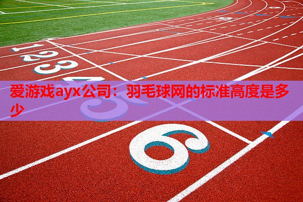 爱游戏ayx公司：羽毛球网的标准高度是多少