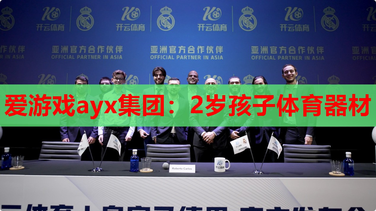 爱游戏ayx集团：2岁孩子体育器材