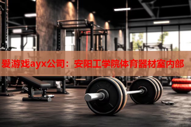 爱游戏ayx公司：安阳工学院体育器材室内部