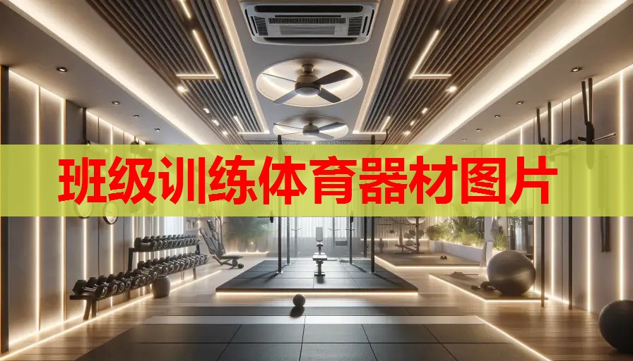班级训练体育器材图片