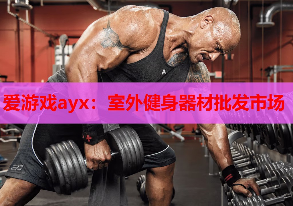 爱游戏ayx：室外健身器材批发市场