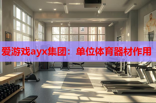爱游戏ayx集团：单位体育器材作用