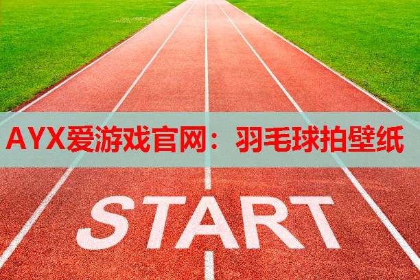AYX爱游戏官网：羽毛球拍壁纸