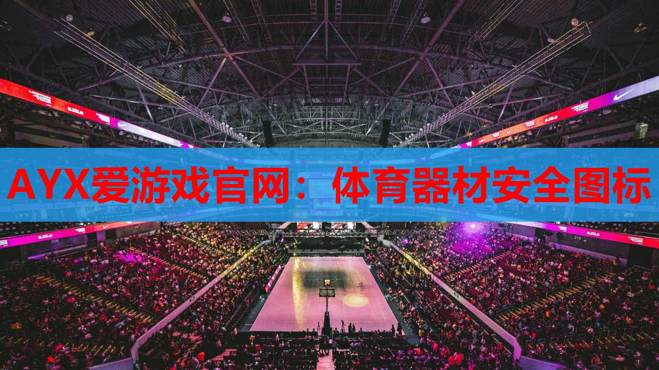AYX爱游戏官网：体育器材安全图标