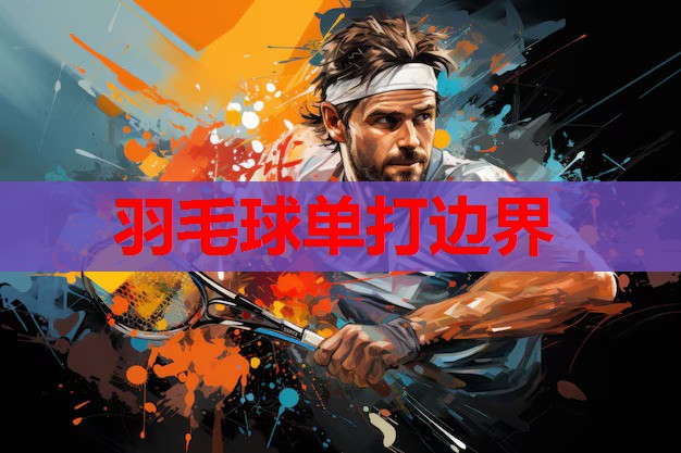 羽毛球单打边界