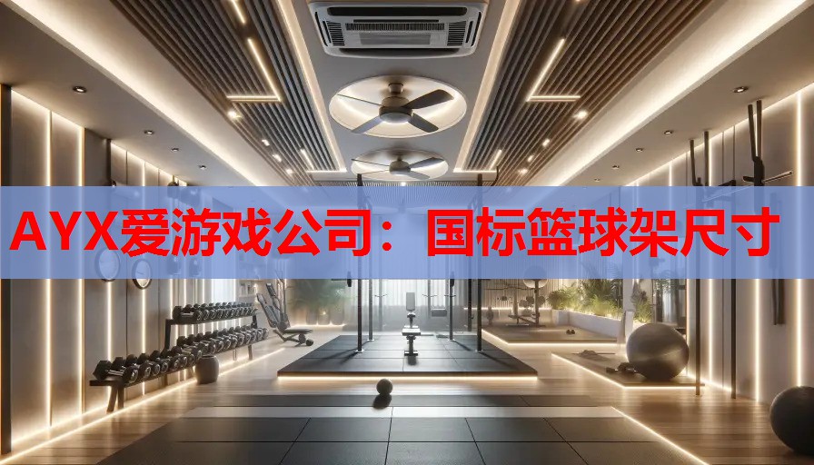 AYX爱游戏公司：国标篮球架尺寸