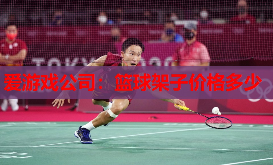 爱游戏公司：篮球架子价格多少