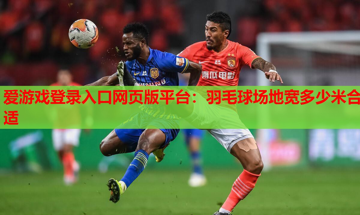 爱游戏登录入口网页版平台：羽毛球场地宽多少米合适