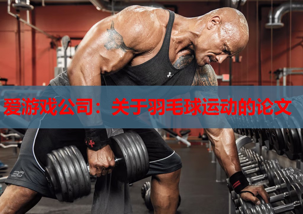 爱游戏公司：关于羽毛球运动的论文