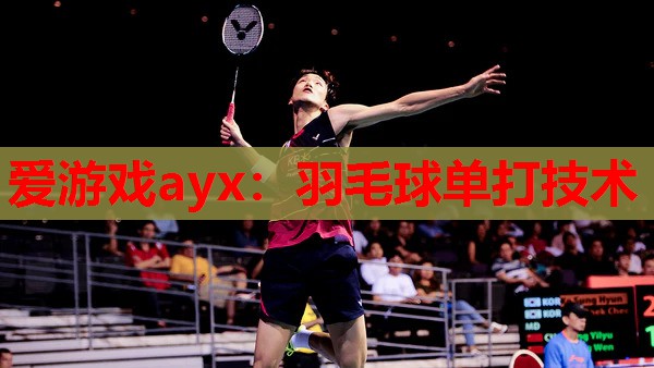 爱游戏ayx：羽毛球单打技术