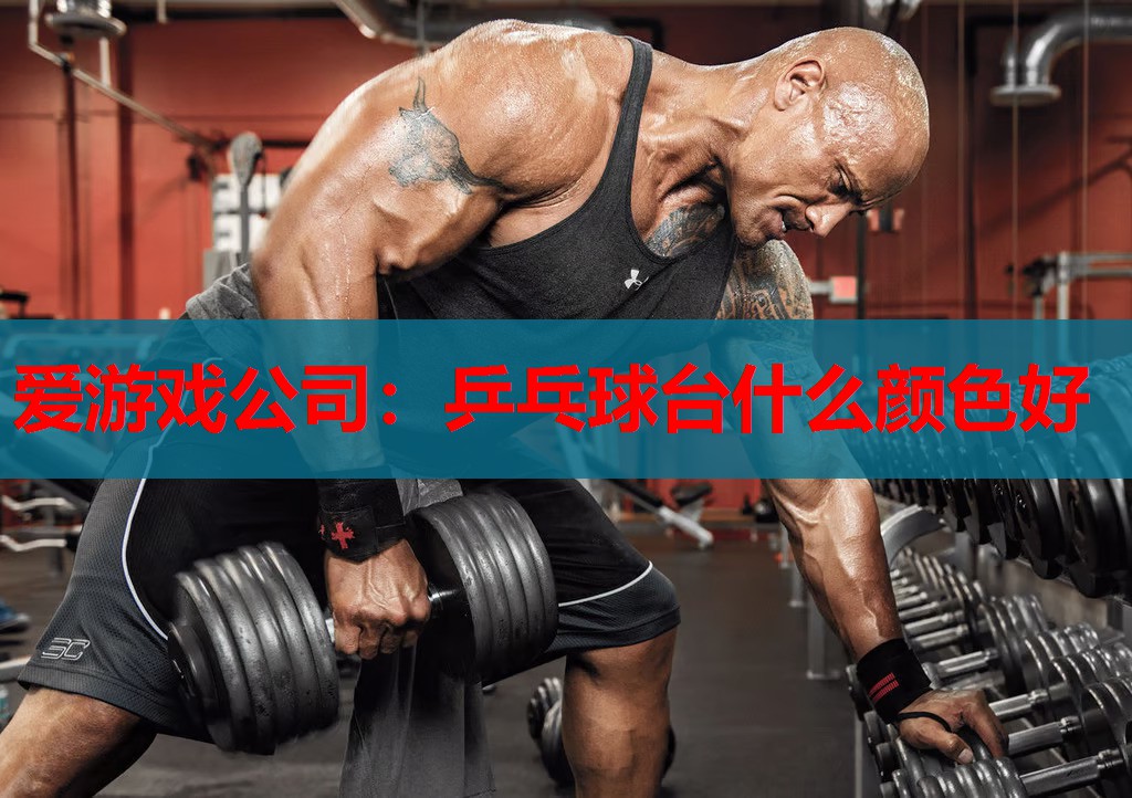 爱游戏公司：乒乓球台什么颜色好