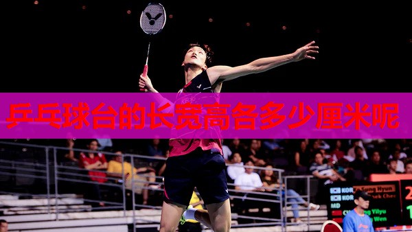 乒乓球台的长宽高各多少厘米呢