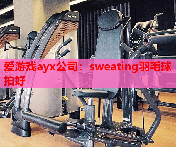 爱游戏ayx公司：sweating羽毛球拍好