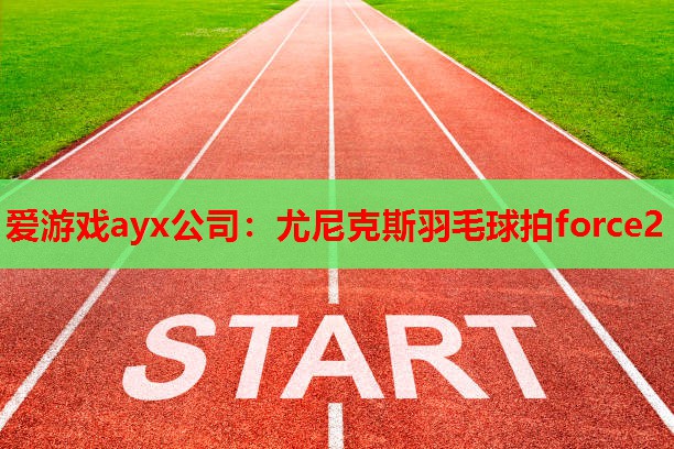 爱游戏ayx公司：尤尼克斯羽毛球拍force2