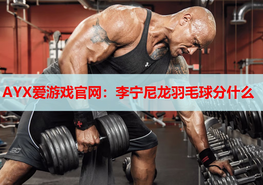 AYX爱游戏官网：李宁尼龙羽毛球分什么