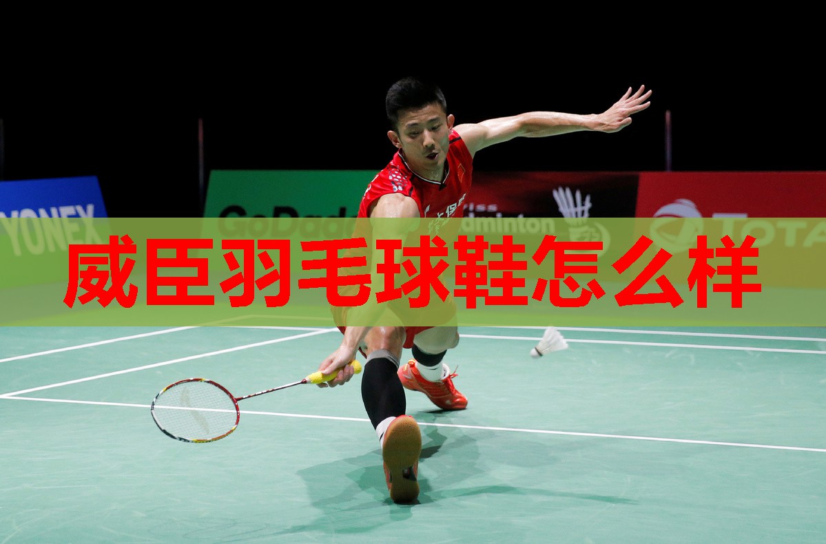 威臣羽毛球鞋怎么样