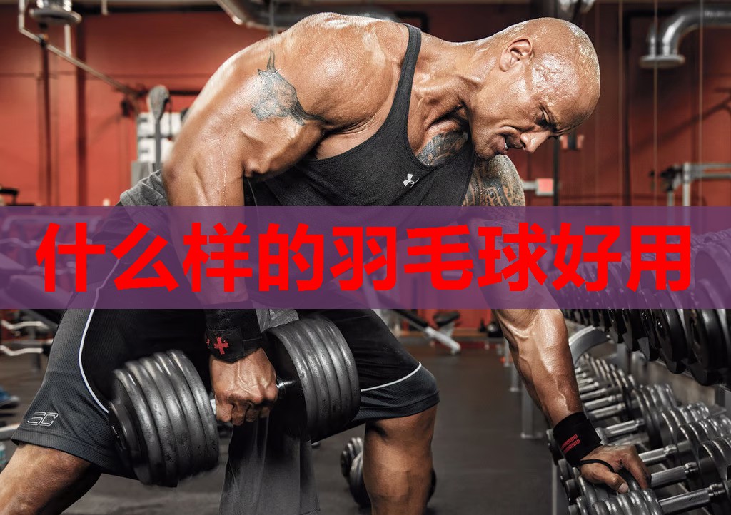 什么样的羽毛球好用