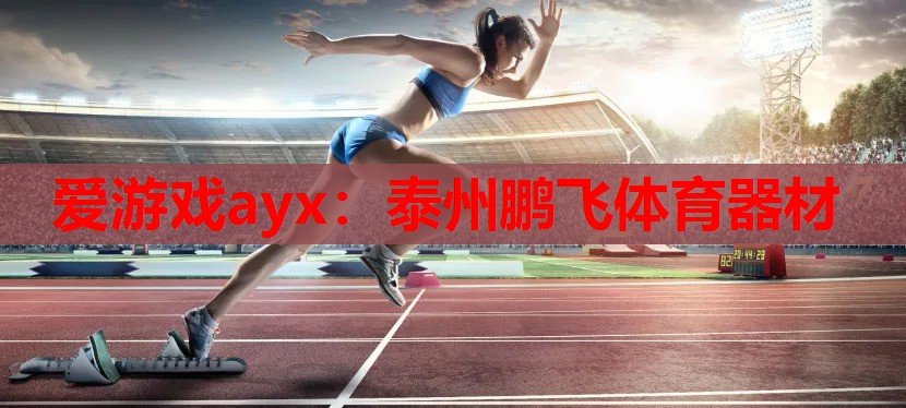 爱游戏ayx：泰州鹏飞体育器材