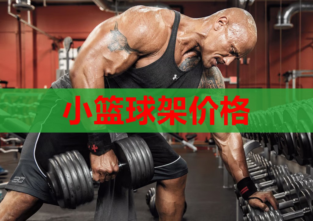 小篮球架价格