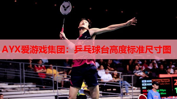 AYX爱游戏集团：乒乓球台高度标准尺寸图