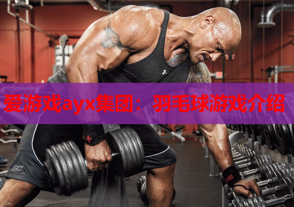 爱游戏ayx集团：羽毛球游戏介绍