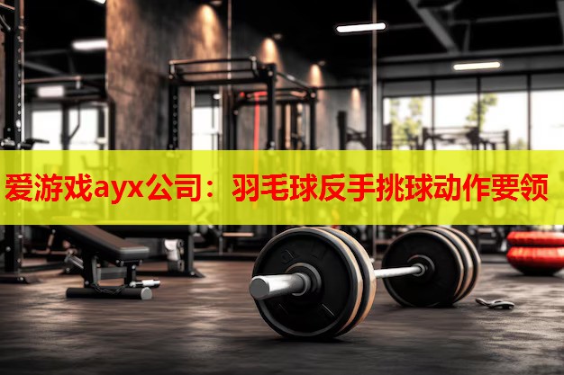 爱游戏ayx公司：羽毛球反手挑球动作要领