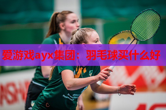 爱游戏ayx集团：羽毛球买什么好