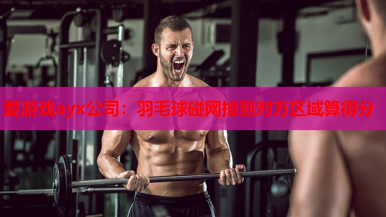 爱游戏ayx公司：羽毛球碰网掉到对方区域算得分