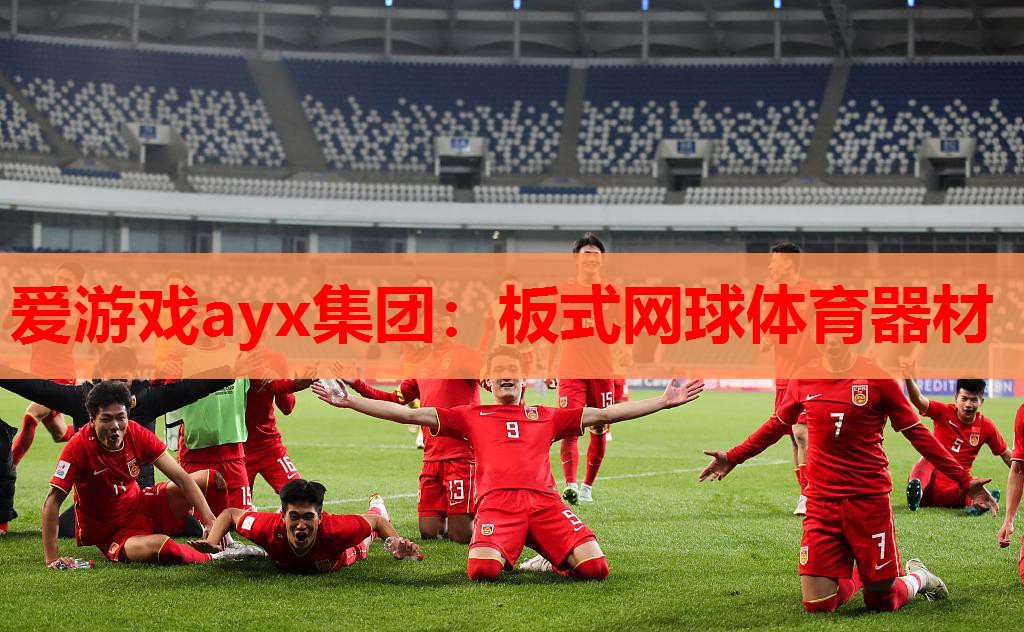爱游戏ayx集团：板式网球体育器材