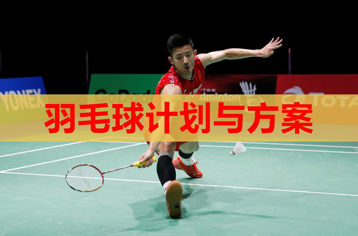 羽毛球计划与方案