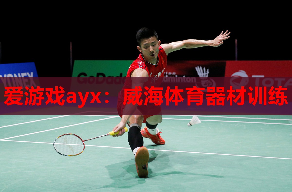爱游戏ayx：威海体育器材训练