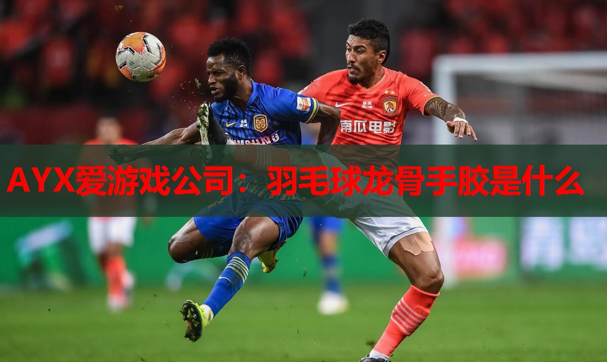 AYX爱游戏公司：羽毛球龙骨手胶是什么