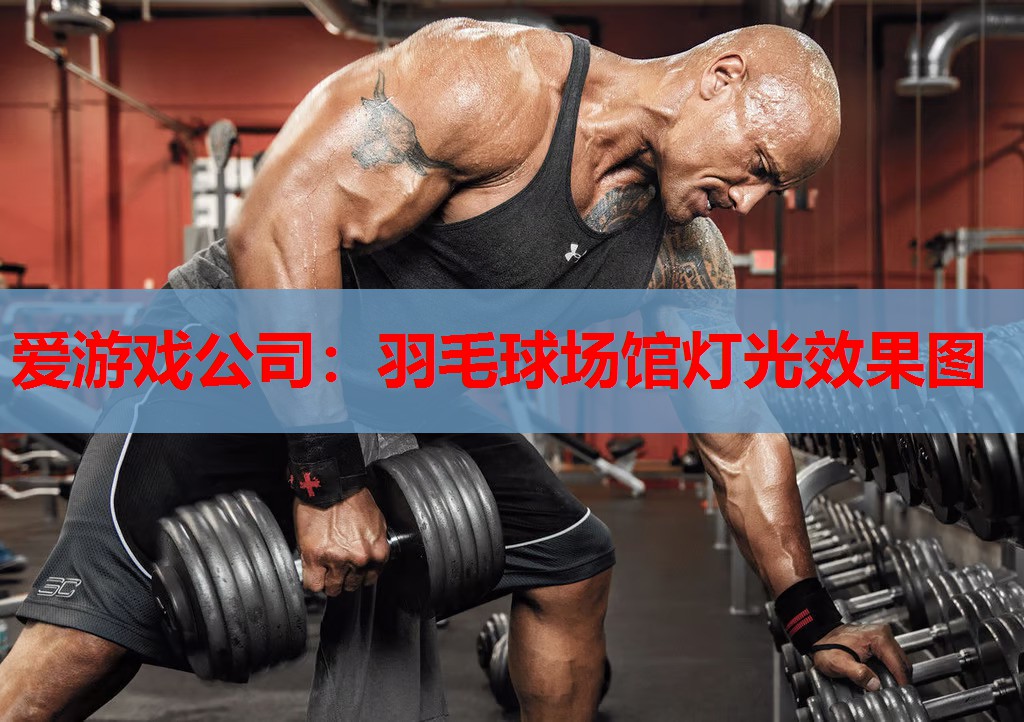 爱游戏公司：羽毛球场馆灯光效果图