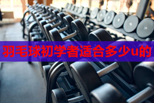 羽毛球初学者适合多少u的