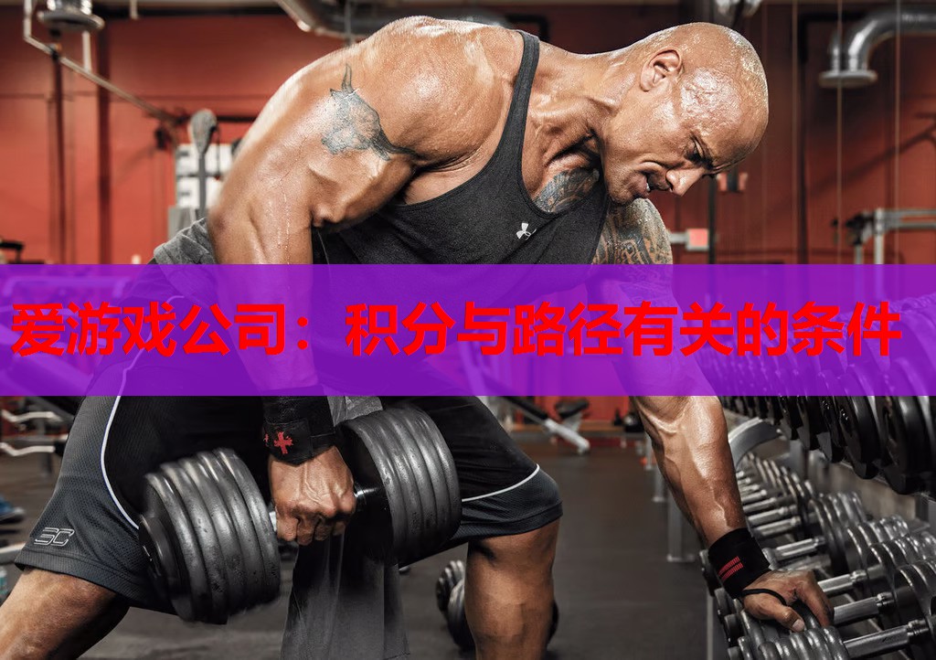爱游戏公司：积分与路径有关的条件