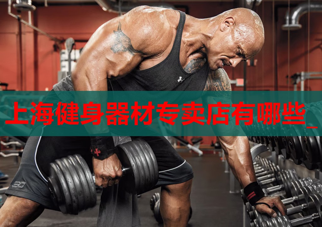 上海健身器材专卖店有哪些_ 上海健身器材专卖店有哪些_