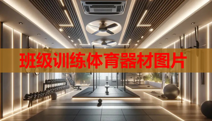 班级训练体育器材图片 班级训练体育器材图片