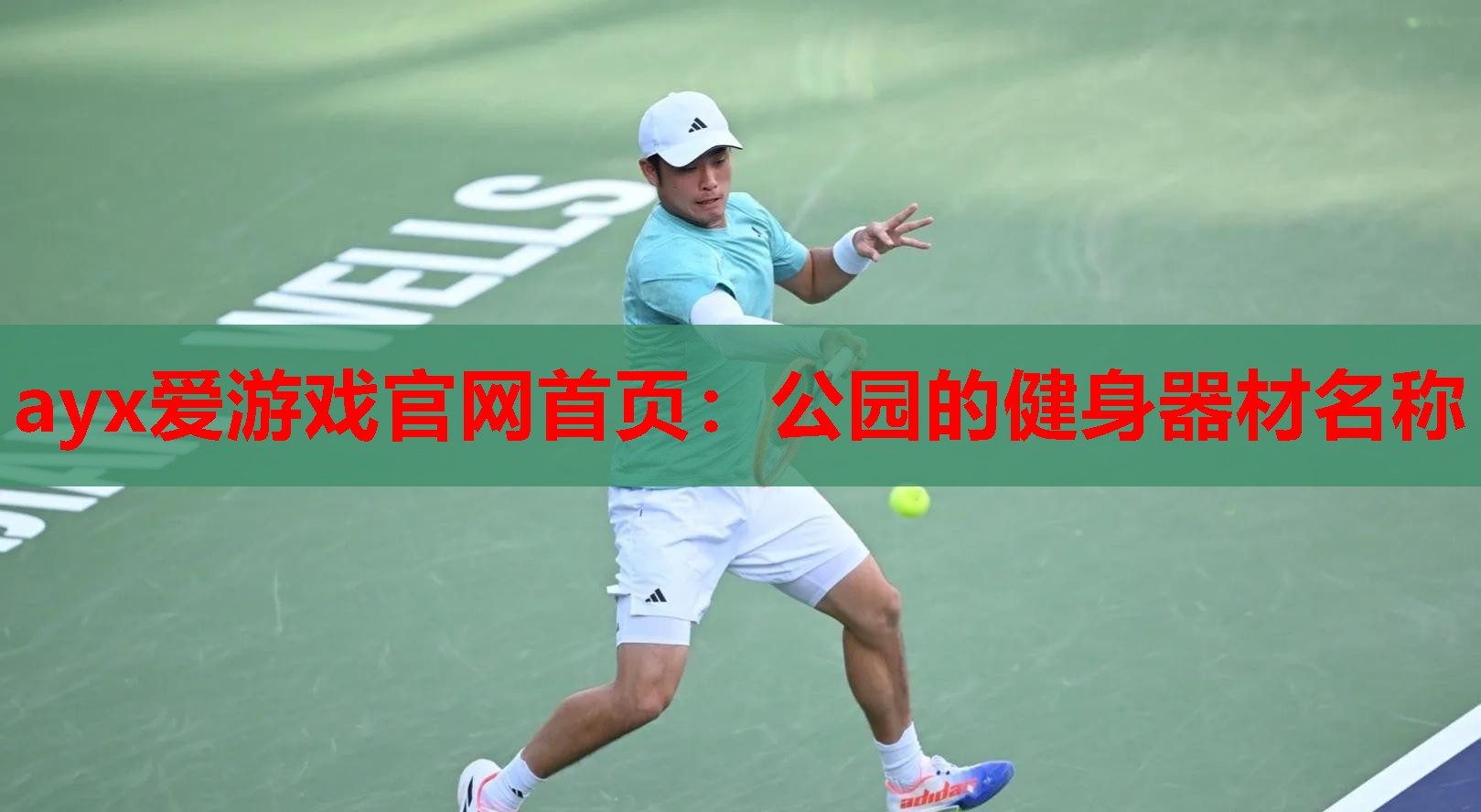 公园的健身器材名称 公园的健身器材名称