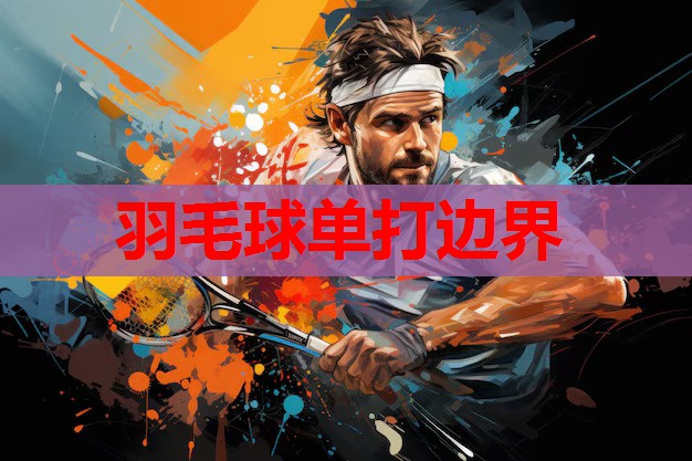 羽毛球单打边界 羽毛球单打边界