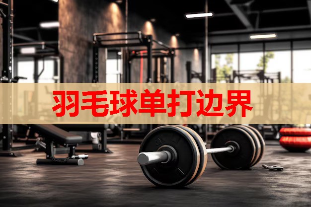 羽毛球单打边界 羽毛球单打边界