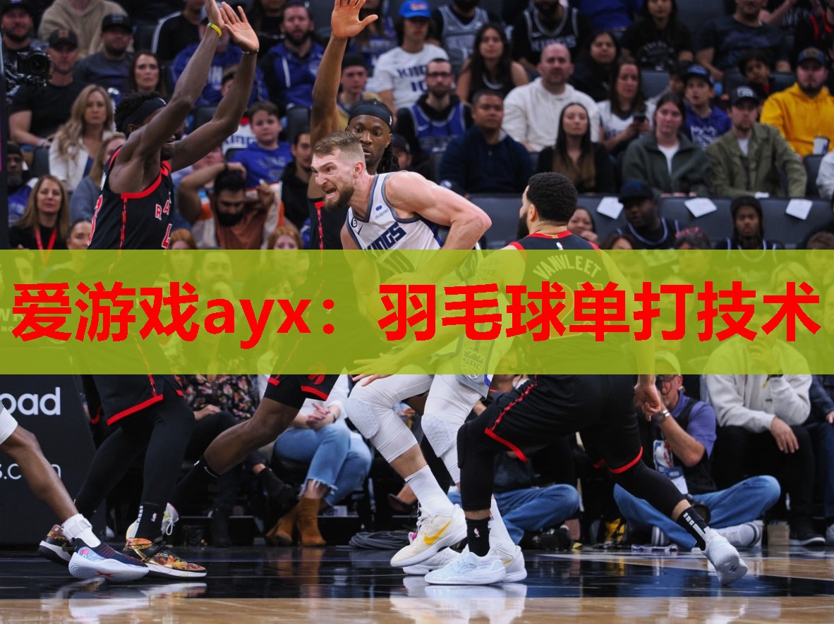 羽毛球单打技术 羽毛球单打技术