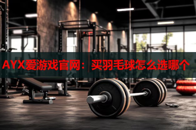 买羽毛球怎么选哪个 买羽毛球怎么选哪个