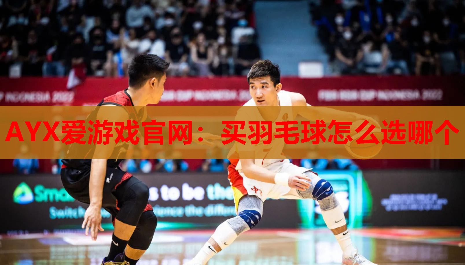 买羽毛球怎么选哪个 买羽毛球怎么选哪个